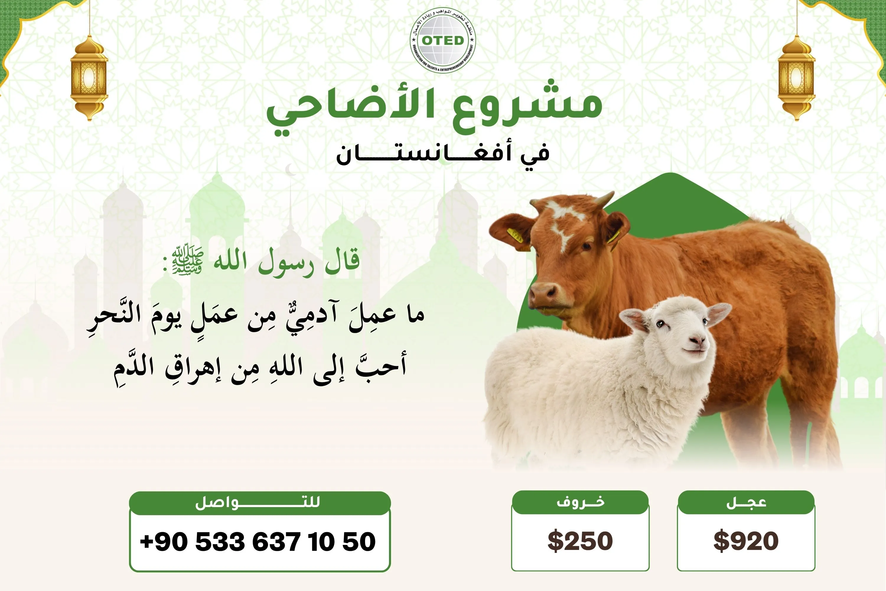 مشروع الأضاحي في افغانستان - حملة عيد الأضحى 1447 - 2026