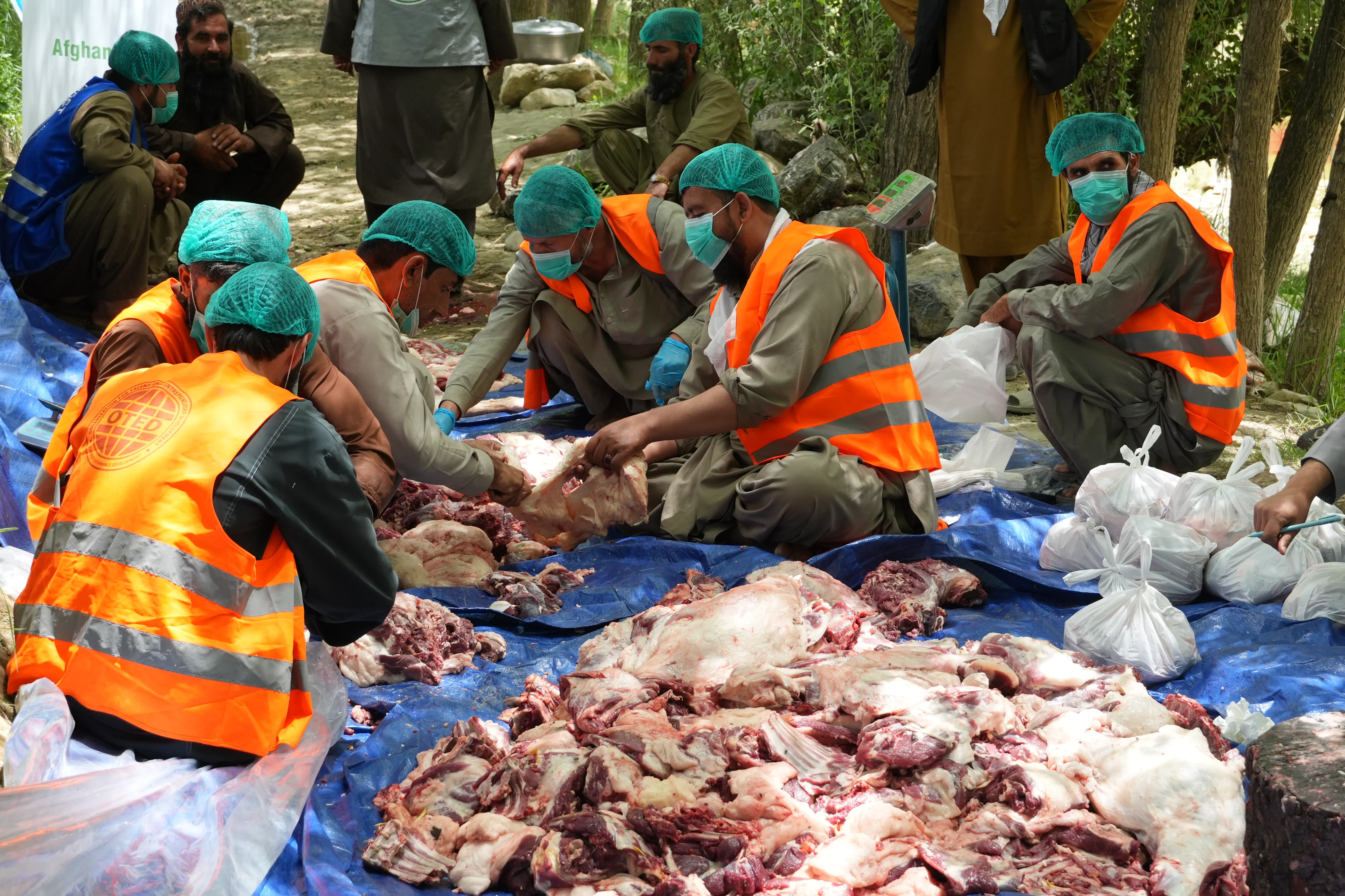 مشروع الأضاحي في افغانستان - حملة عيد الأضحى 1447 - 2026