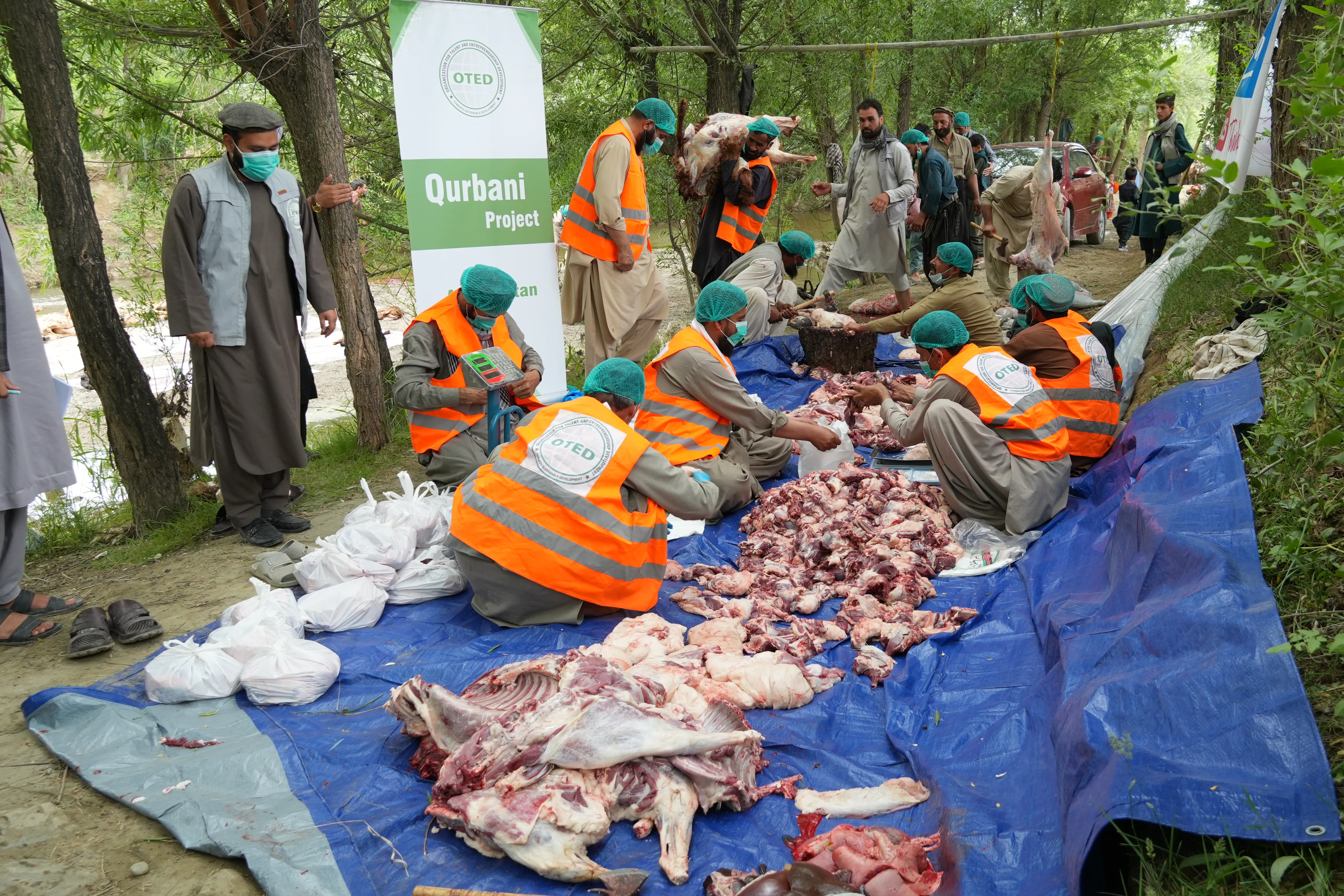 مشروع الأضاحي في افغانستان - حملة عيد الأضحى 1447 - 2026